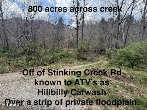0 Hickory Creek Road La Follette, TN 37766 - Photo 3 of 38 Stinking Creek Rd