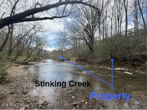 0 Hickory Creek Road La Follette, TN 37766 - Photo 5 of 38 Stinking Creek Rd