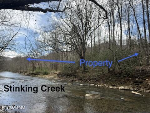 0 Hickory Creek Road La Follette, TN 37766 - Photo 6 of 38 Stinking Creek Rd