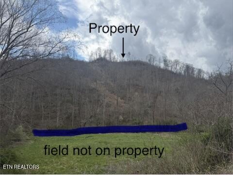 0 Hickory Creek Road La Follette, TN 37766 - Photo 9 of 38 Stinking Creek Rd