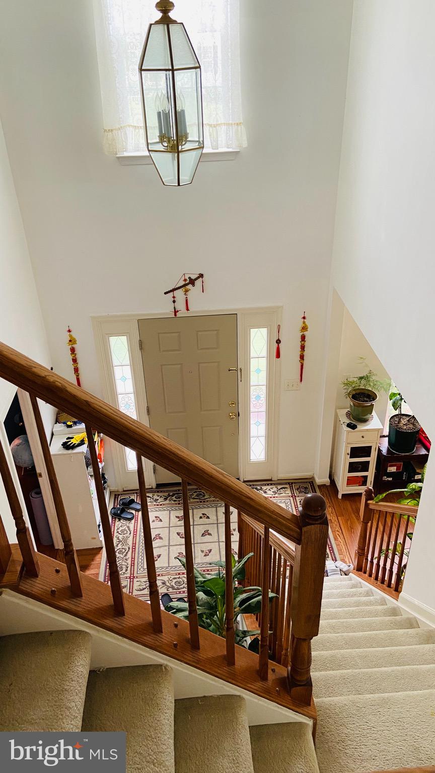 903 Johnson Grove Lane Bowie, MD 20721 - Photo 4 of 11 a view of entryway and hall with wooden floor