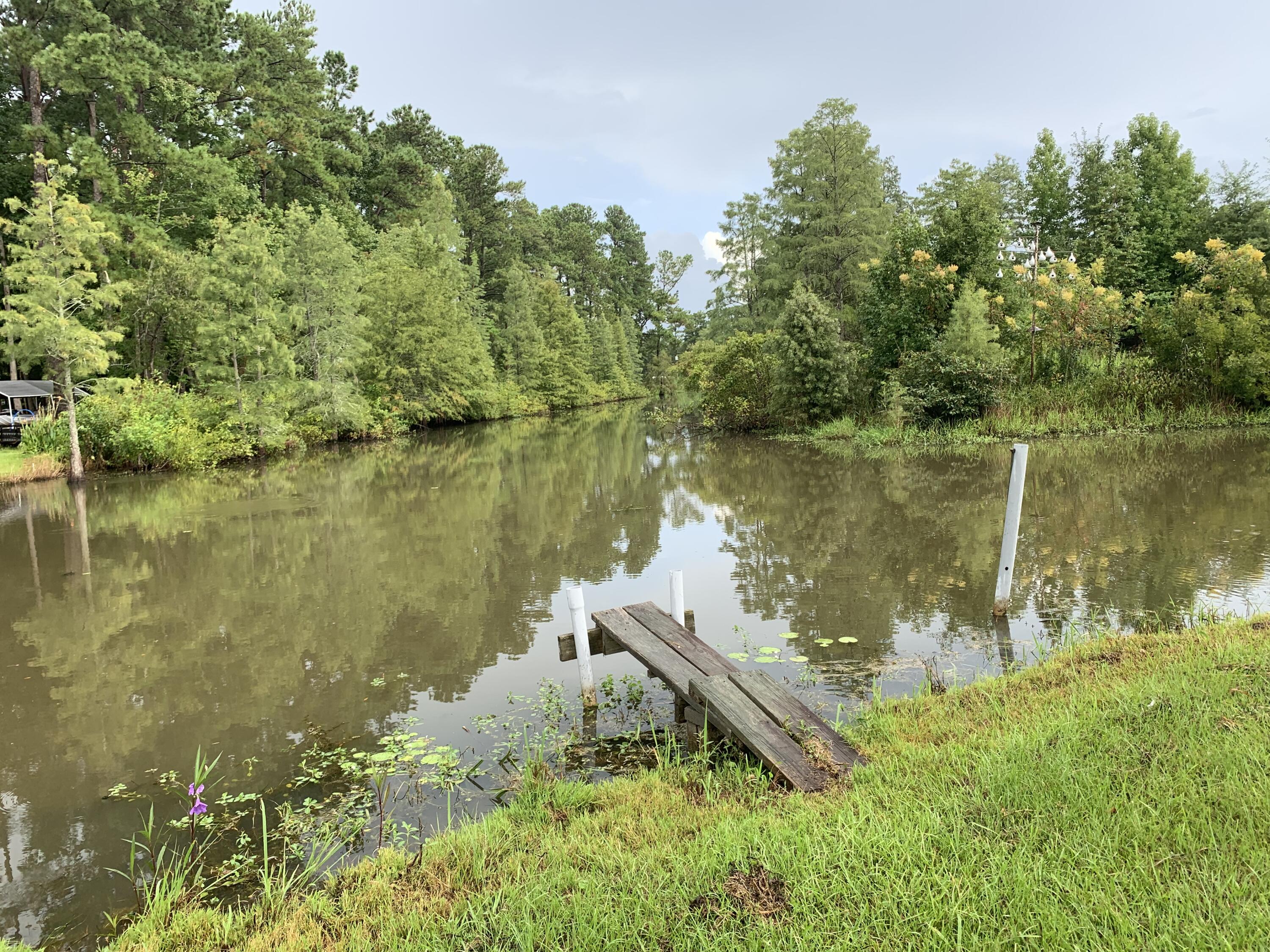 143 Eagle Point Road Cross, SC 29436 - Photo 14 of 17 View of lake from backyard