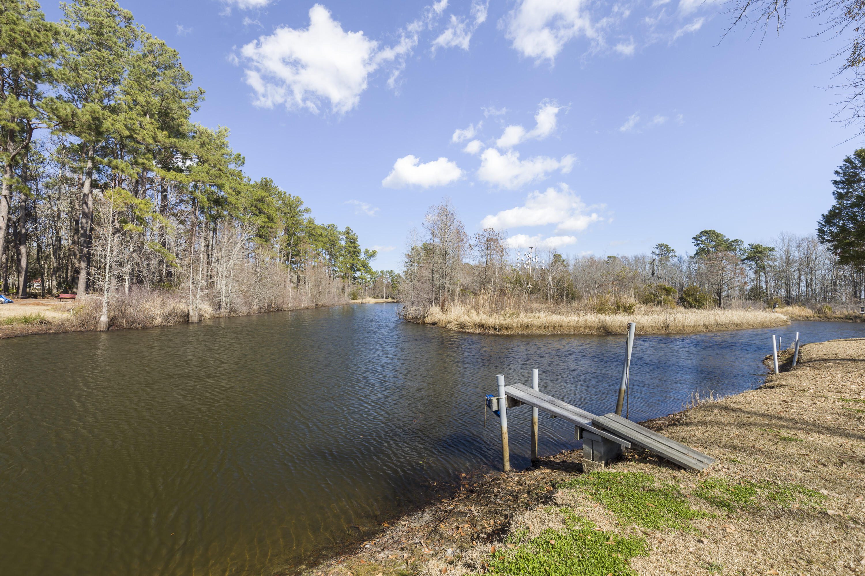 143 Eagle Point Road Cross, SC 29436 - Photo 5 of 17 Lake View