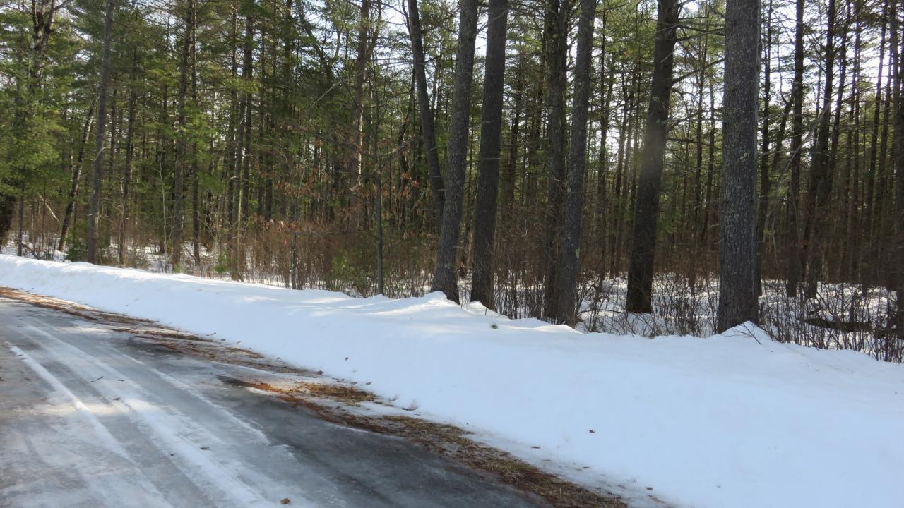 Lot 3 Shadow Lake Road Manitowish Waters, WI 54545 - Photo 7 of 7 Gallery Image 7