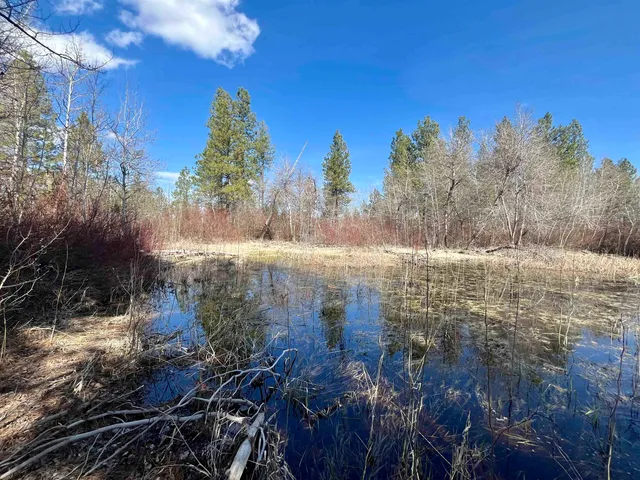 $149,000 | 249015 West Kitt Road, Reardan, WA 99029