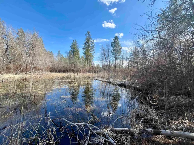 $149,000 | 249015 West Kitt Road, Reardan, WA 99029