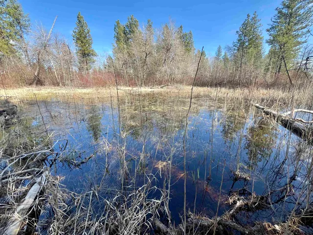 $149,000 | 249015 West Kitt Road, Reardan, WA 99029