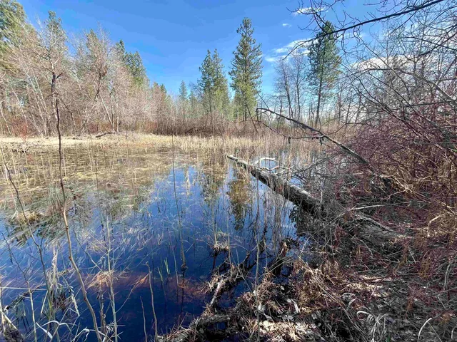 $149,000 | 249015 West Kitt Road, Reardan, WA 99029