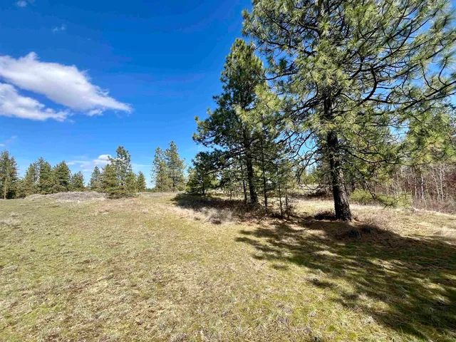 $149,000 | 249015 West Kitt Road, Reardan, WA 99029