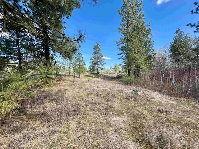 $149,000 | 249015 West Kitt Road, Reardan, WA 99029