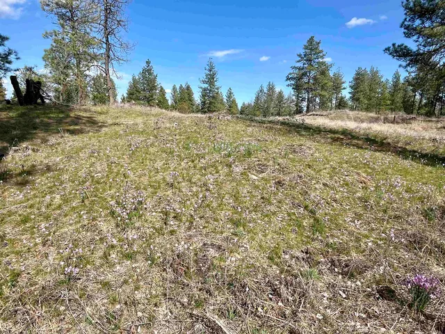 $149,000 | 249015 West Kitt Road, Reardan, WA 99029