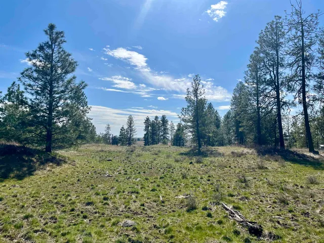 $149,000 | 249015 West Kitt Road, Reardan, WA 99029