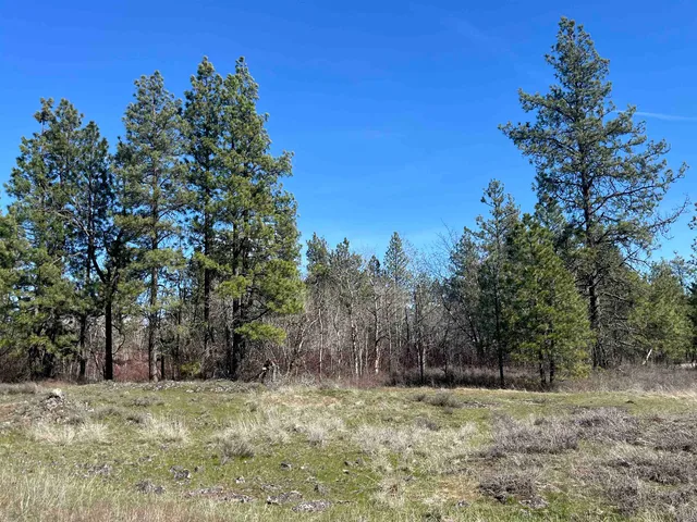 $149,000 | 249015 West Kitt Road, Reardan, WA 99029