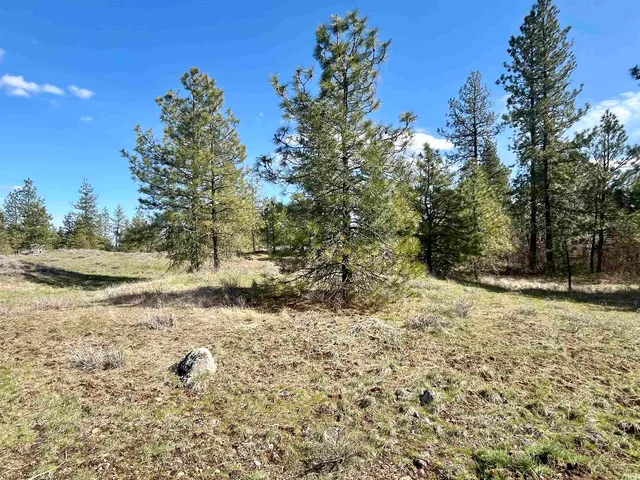 $149,000 | 249015 West Kitt Road, Reardan, WA 99029