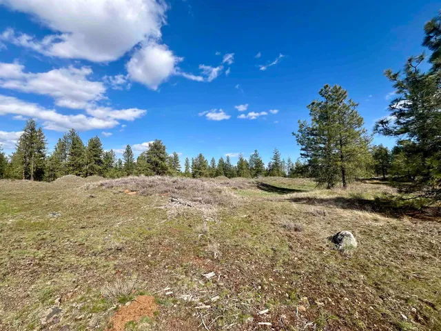 $149,000 | 249015 West Kitt Road, Reardan, WA 99029