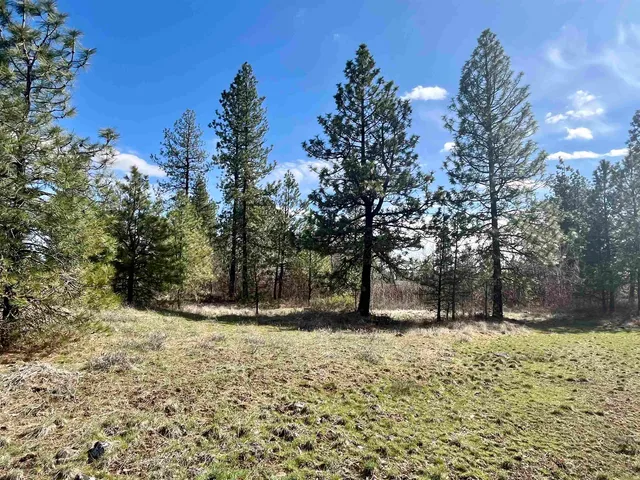 $149,000 | 249015 West Kitt Road, Reardan, WA 99029