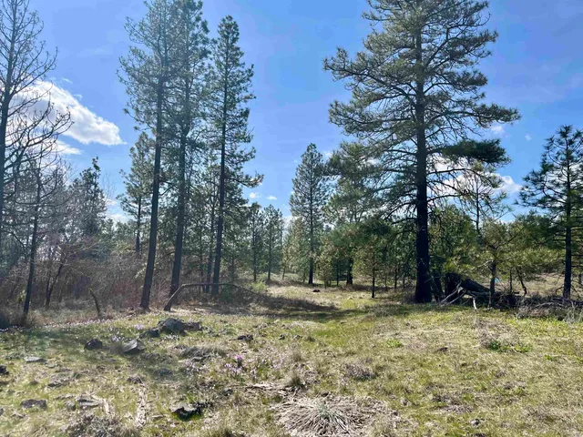 $149,000 | 249015 West Kitt Road, Reardan, WA 99029