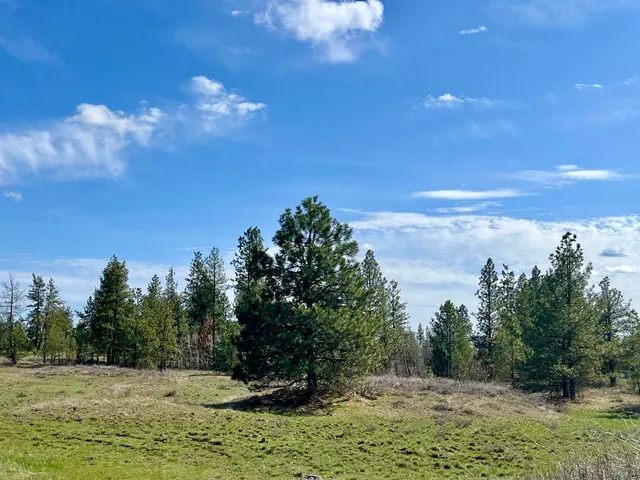 $149,000 | 249015 West Kitt Road, Reardan, WA 99029