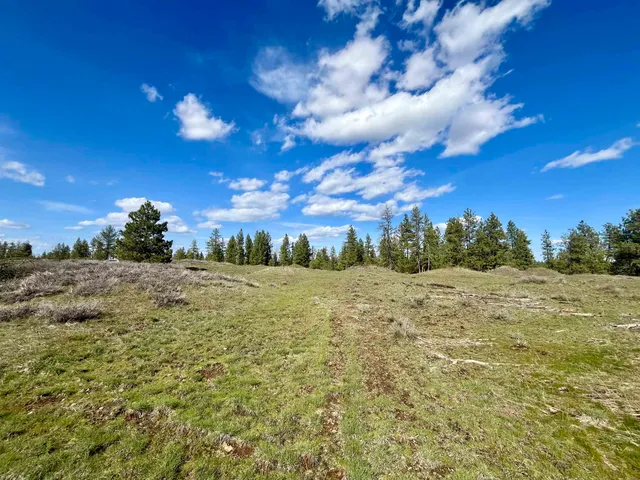 $149,000 | 249015 West Kitt Road, Reardan, WA 99029