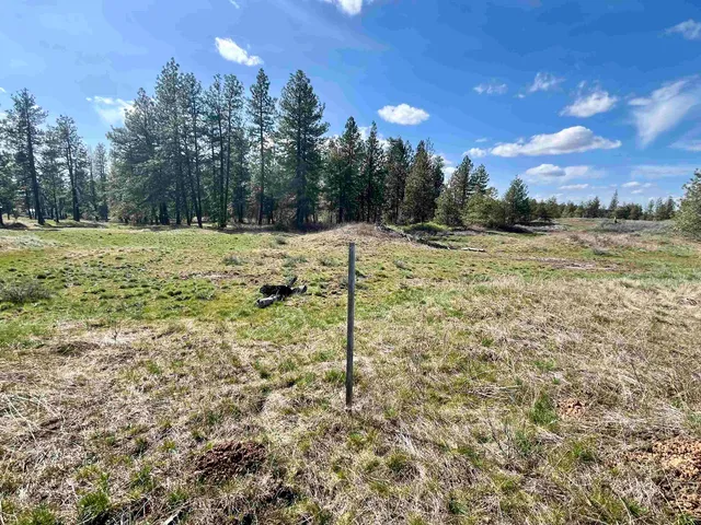 $149,000 | 249015 West Kitt Road, Reardan, WA 99029