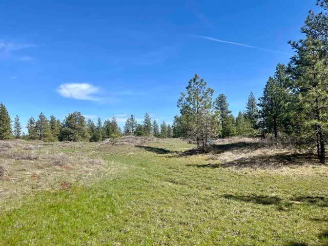 $149,000 | 249015 West Kitt Road, Reardan, WA 99029