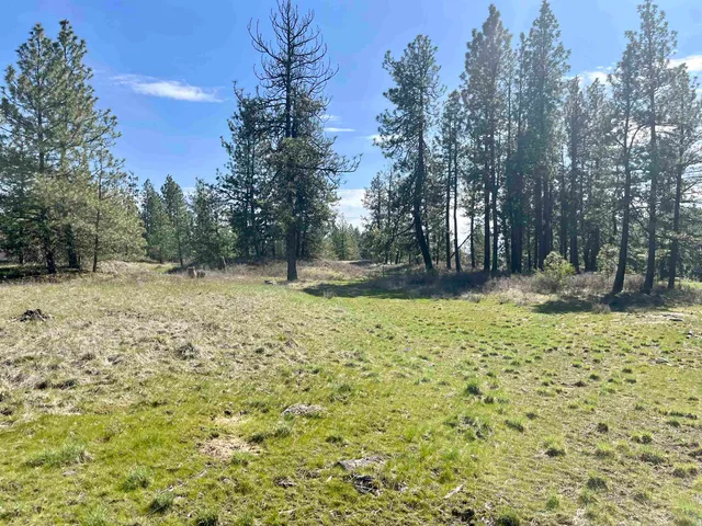 $149,000 | 249015 West Kitt Road, Reardan, WA 99029