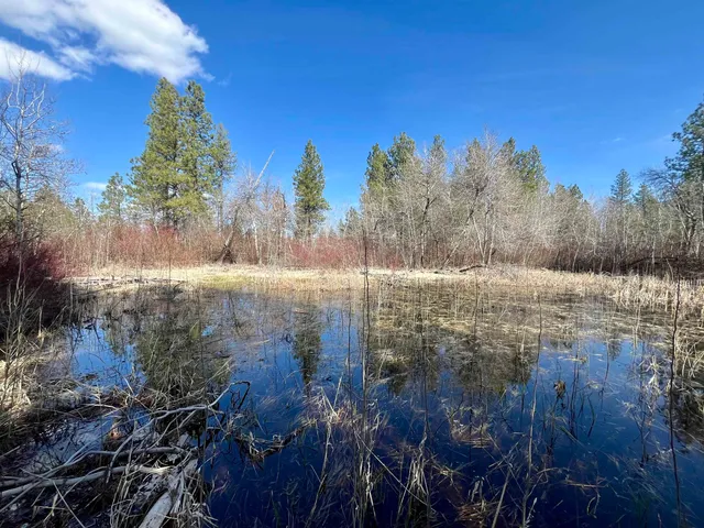 $149,000 | 249015 West Kitt Road, Reardan, WA 99029