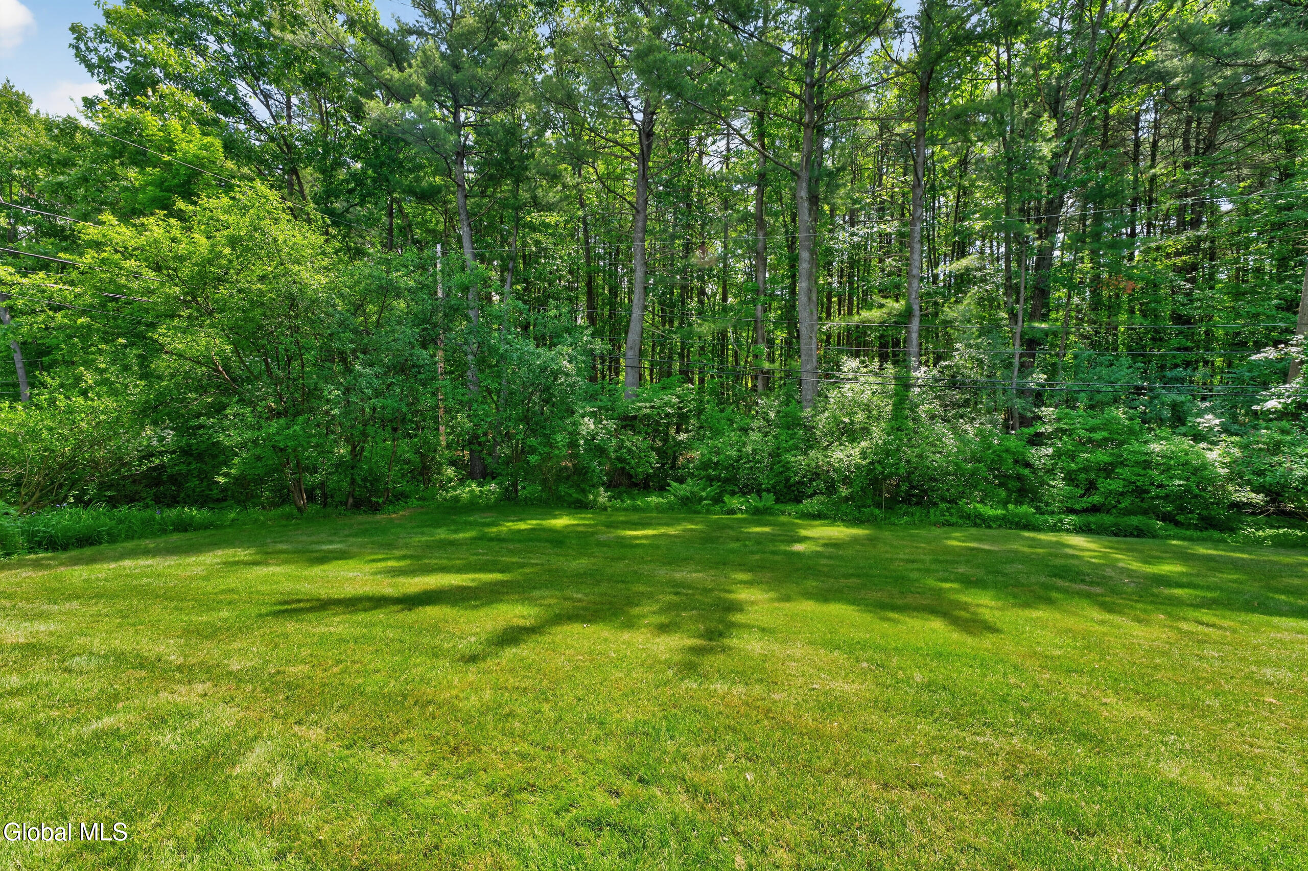 1222 Hempstead Road Niskayuna, NY 12309 - Photo 48 of 52 Yard 3