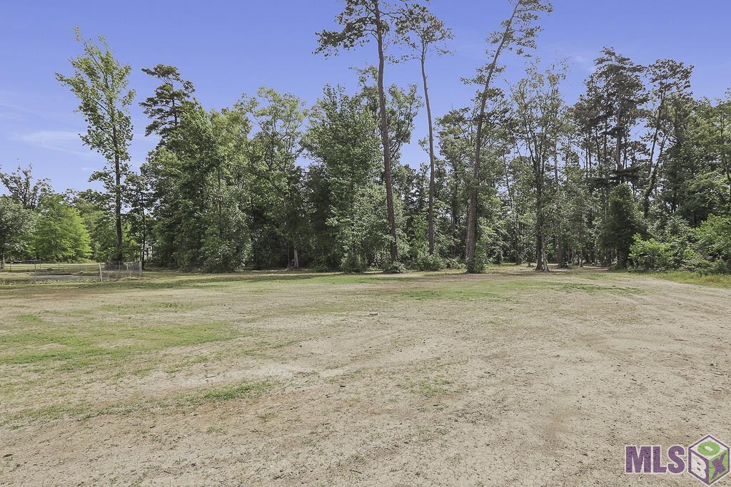 30288 Pine Alley Road Springfield, LA 70462 - Photo 6 of 32