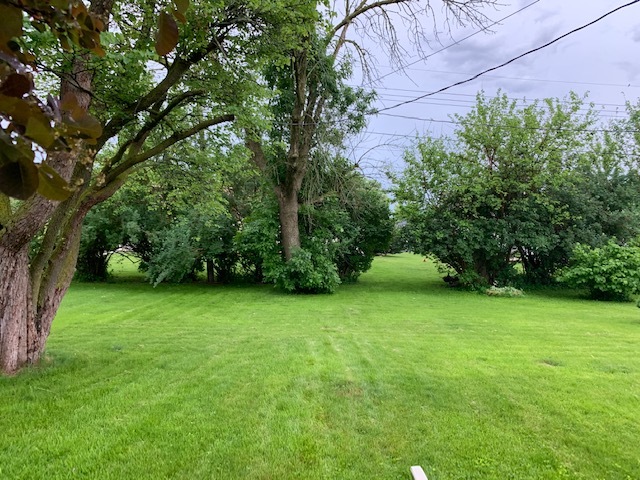 209 Southview Drive Rochelle, IL 61068 - Photo 16 of 16 a view of a green yard
