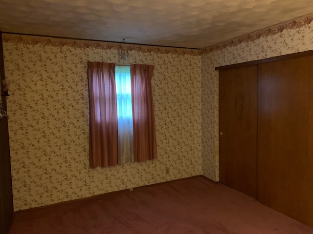 209 Southview Drive Rochelle, IL 61068 - Photo 9 of 16 an empty room with windows
