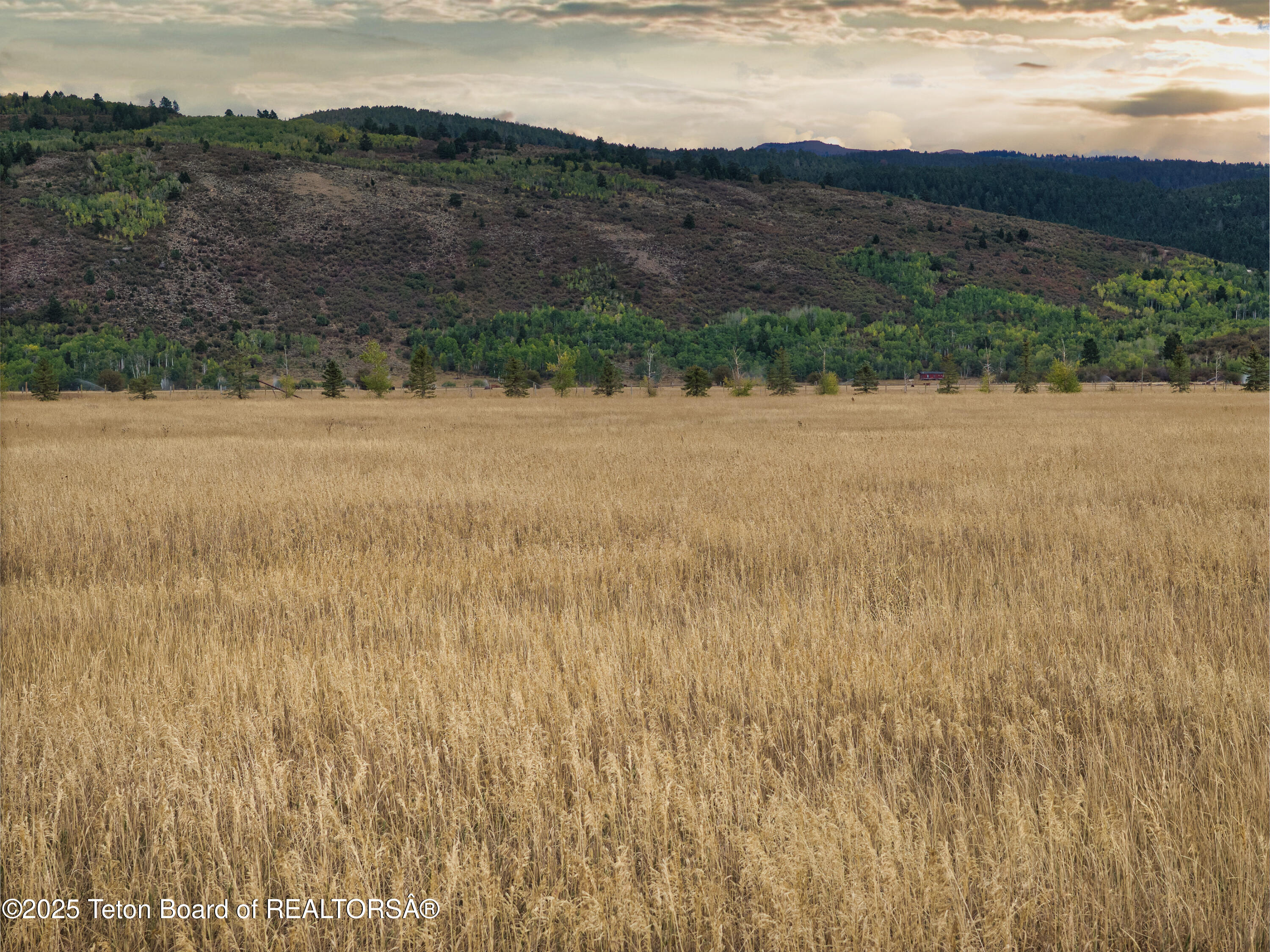 179 Reed Road Victor, ID 83455 - Photo 2 of 31 179 Reed Rd_For MLS-25