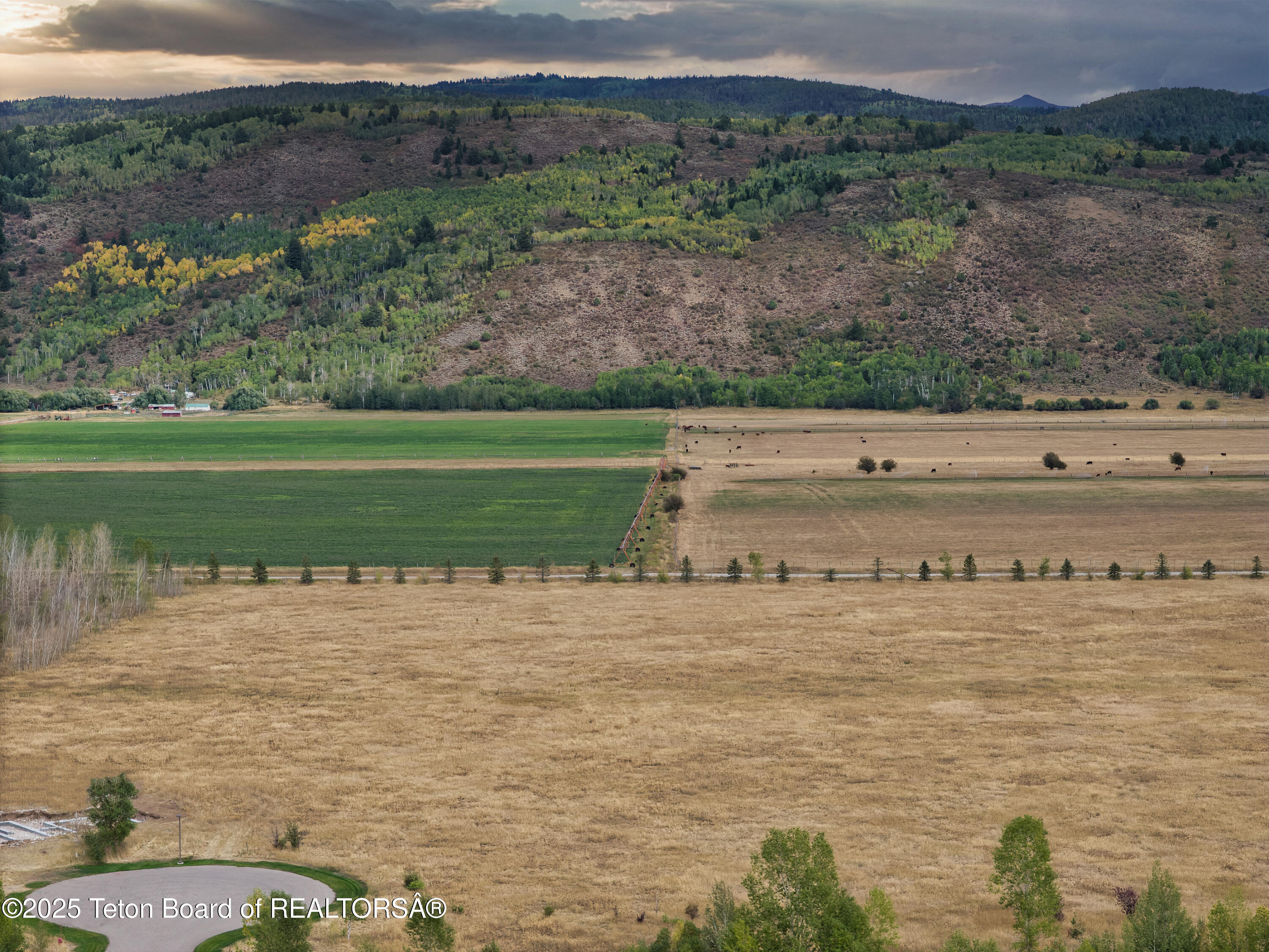 179 Reed Road Victor, ID 83455 - Photo 27 of 31 179 Reed Rd_For MLS-18