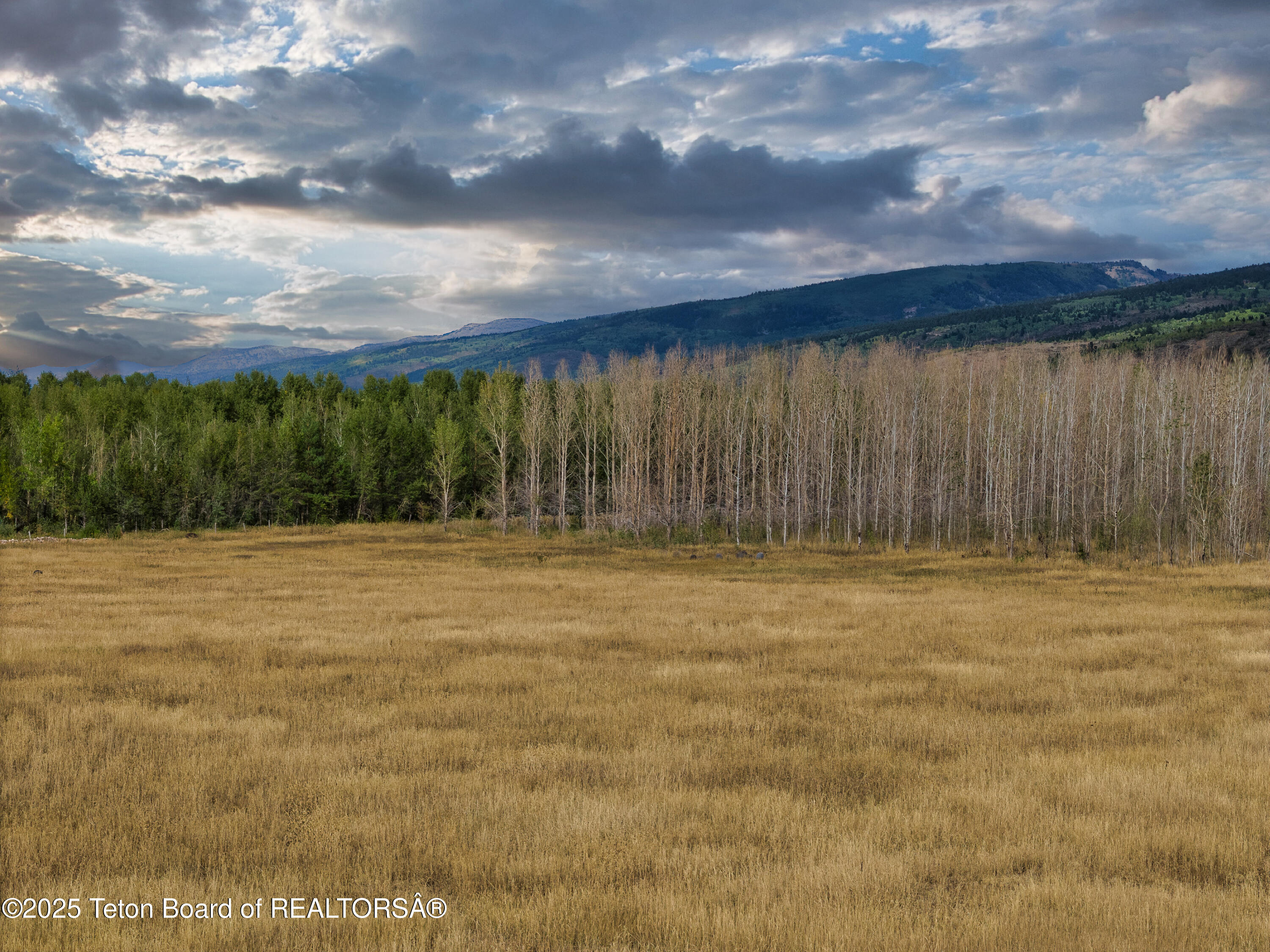 179 Reed Road Victor, ID 83455 - Photo 10 of 31 179 Reed Rd_For MLS-31