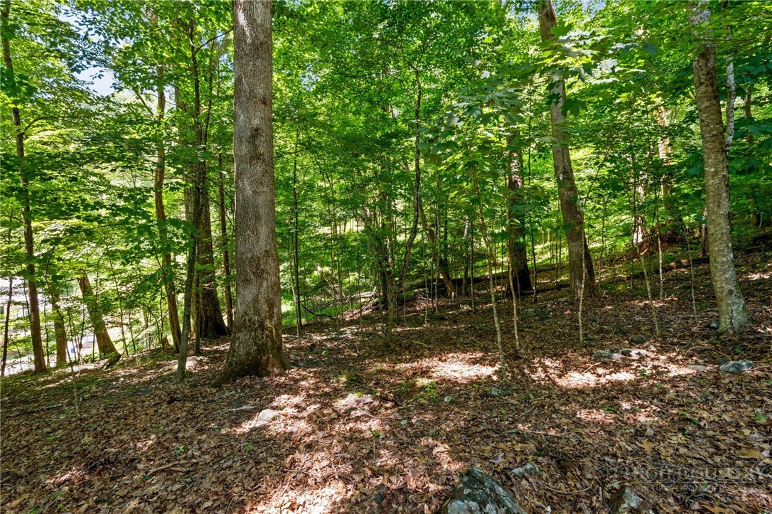Lot 50 Fire Pink Road Boone, NC 28607 - Photo 11 of 15 Gallery Image 11