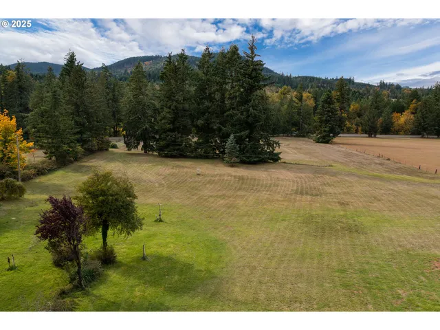 a view of outdoor space and yard