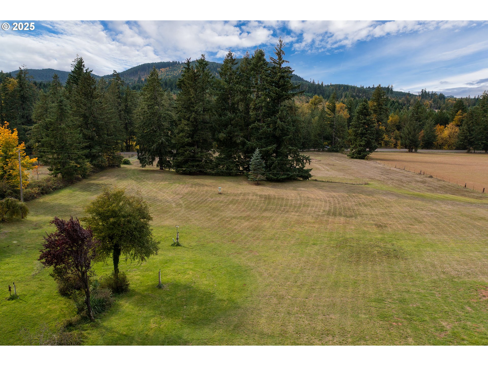 76377 Mosby Creek Road Cottage Grove, OR 97424 - Photo 34 of 48 a view of a yard