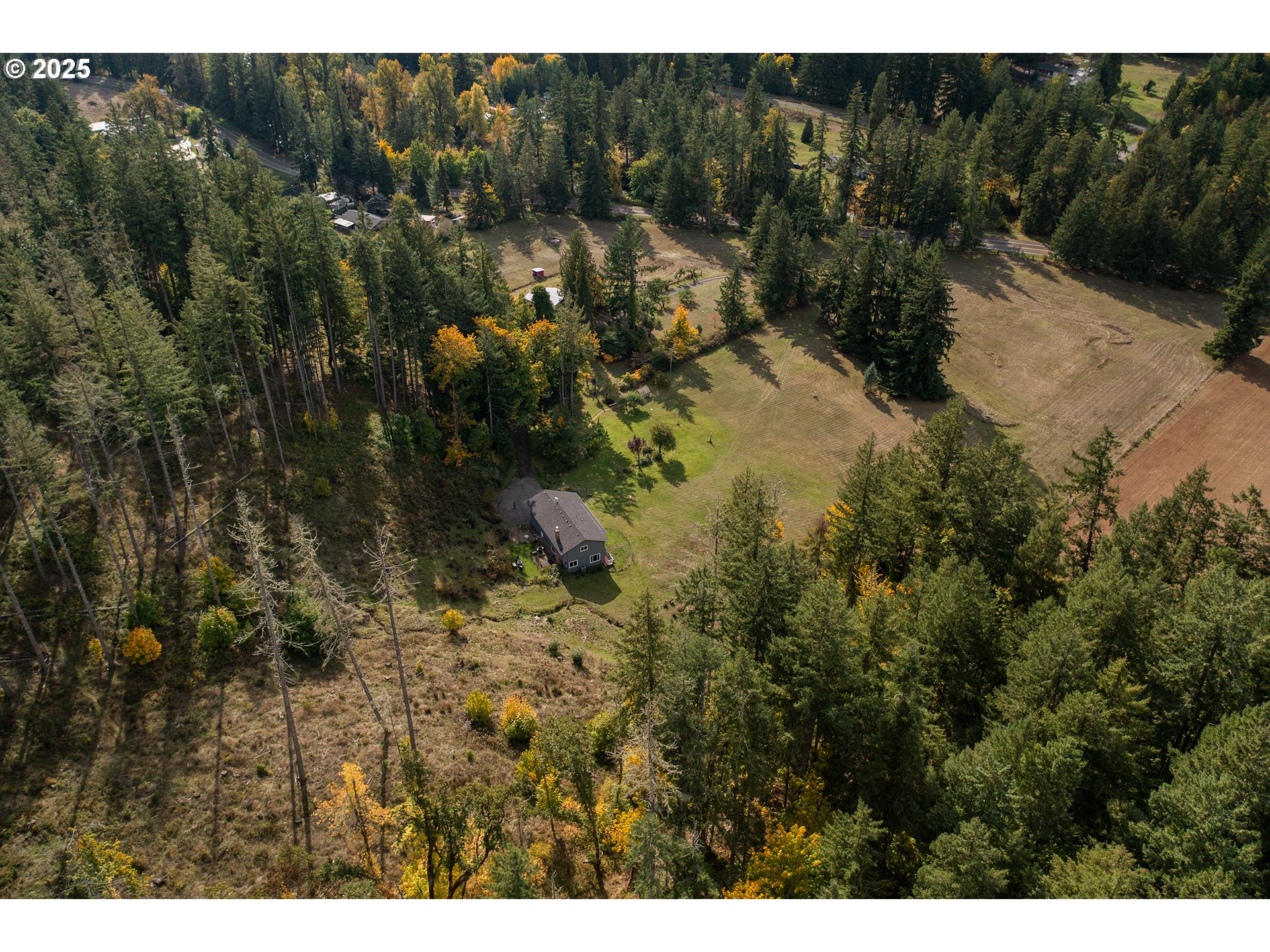 76377 Mosby Creek Road Cottage Grove, OR 97424 - Photo 37 of 48 a view of a yard