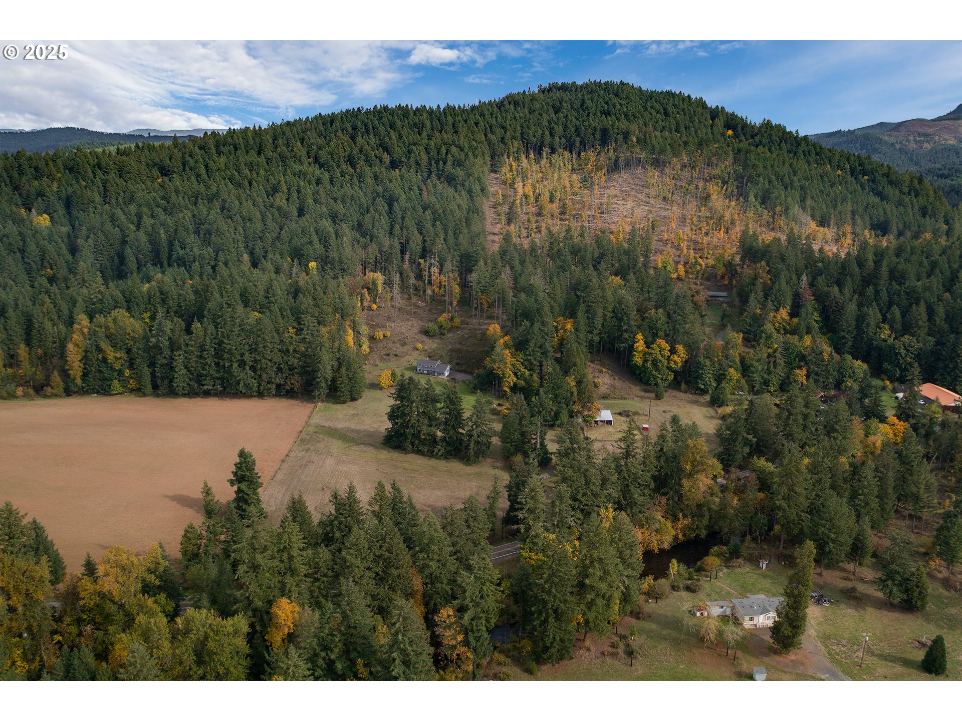 76377 Mosby Creek Road Cottage Grove, OR 97424 - Photo 38 of 48 a view of a lush green hillside and a mountain view