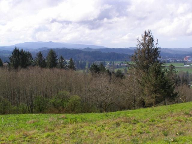 Lot 26 Skyview Road Tillamook, OR 97141 - Photo 3 of 10 20191127235116412237000000-o