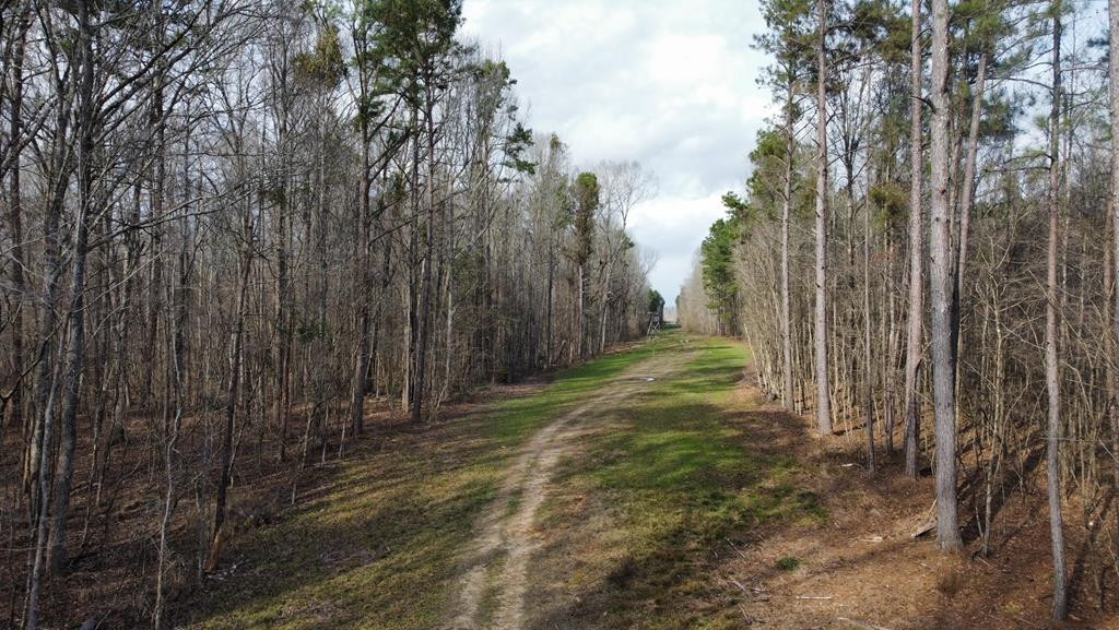 1 Midway Road Wesson, MS 39191 - Photo 1 of 33 Main View