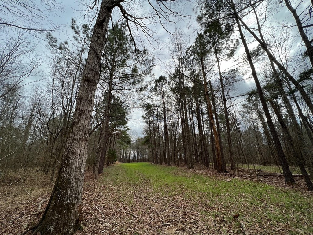 1 Midway Road Wesson, MS 39191 - Photo 11 of 33 Photo 11