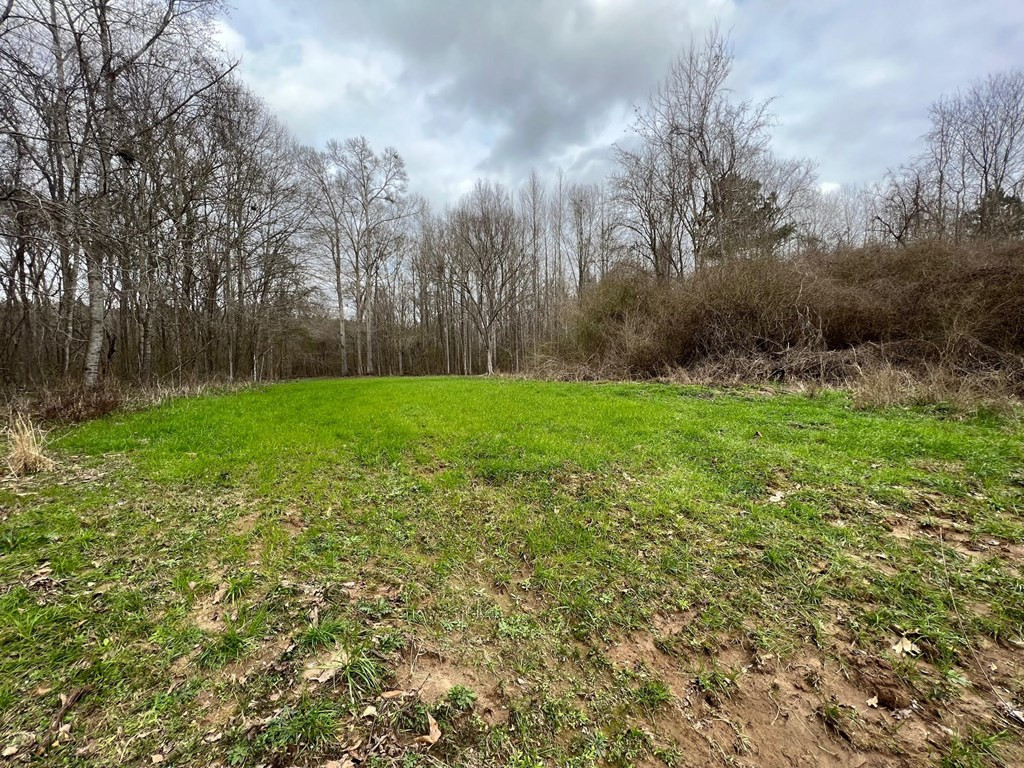 1 Midway Road Wesson, MS 39191 - Photo 12 of 33 Photo 12