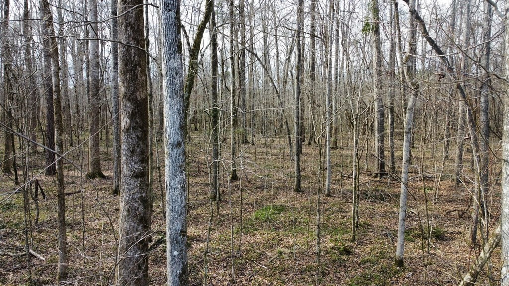 1 Midway Road Wesson, MS 39191 - Photo 14 of 33 Photo 14