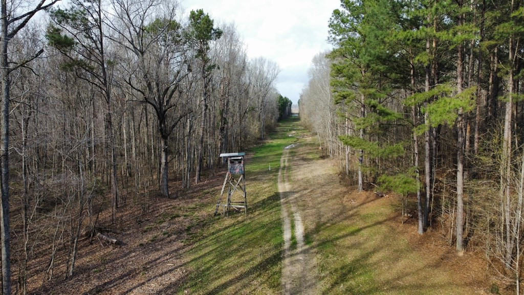 1 Midway Road Wesson, MS 39191 - Photo 15 of 33 Photo 15