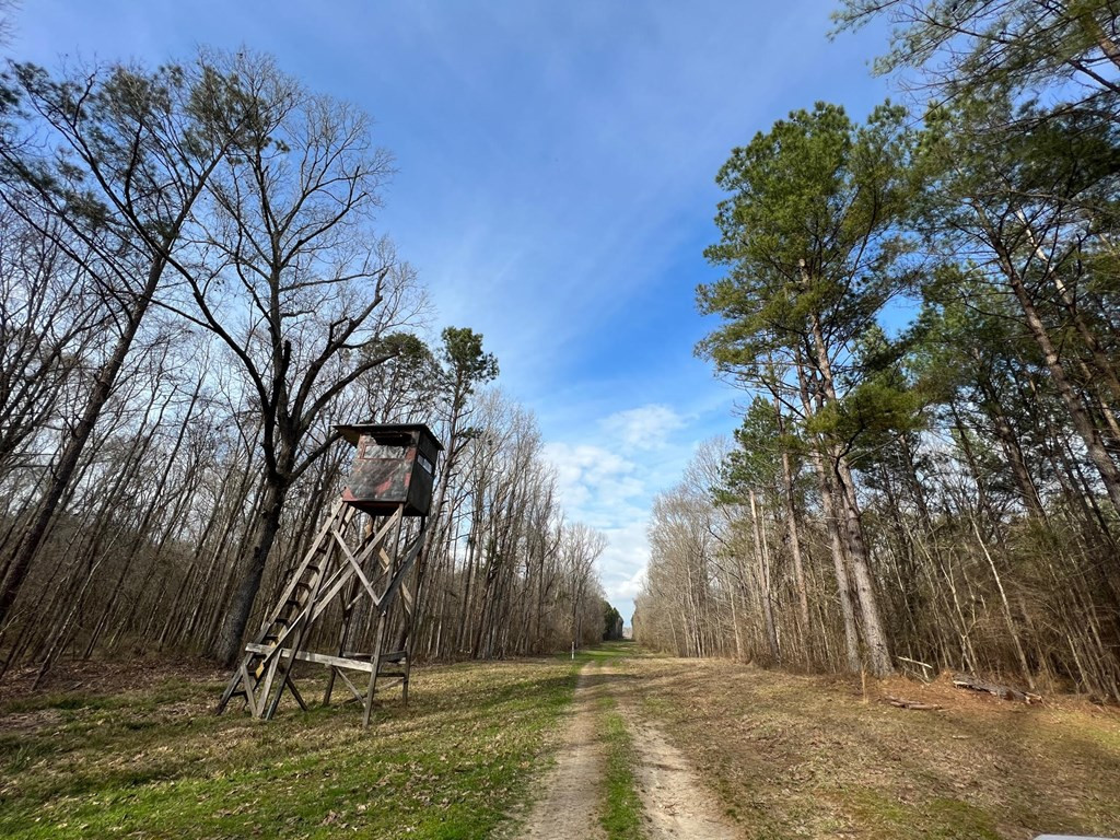 1 Midway Road Wesson, MS 39191 - Photo 17 of 33 Photo 17