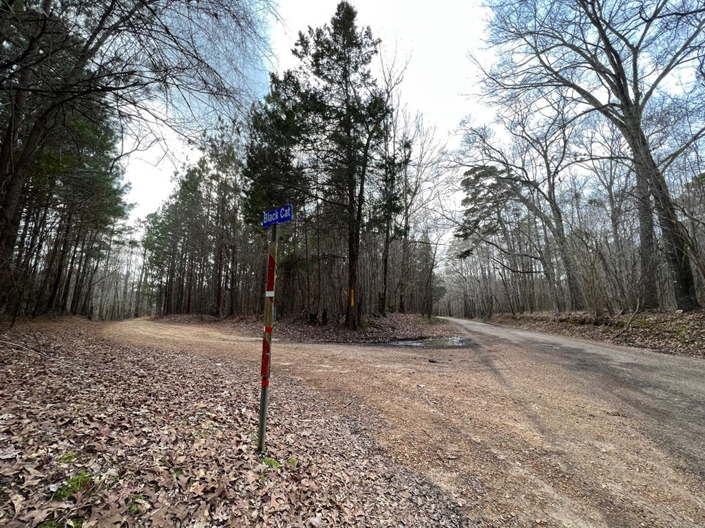 1 Midway Road Wesson, MS 39191 - Photo 23 of 33 Photo 23