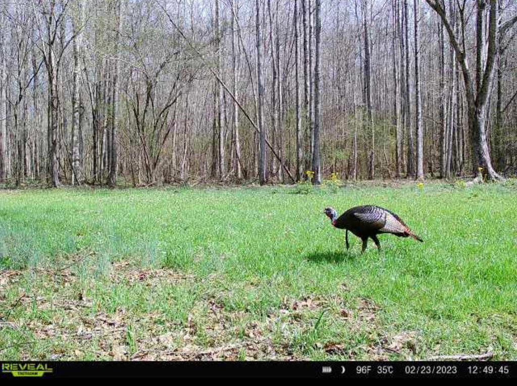 1 Midway Road Wesson, MS 39191 - Photo 25 of 33 Photo 25