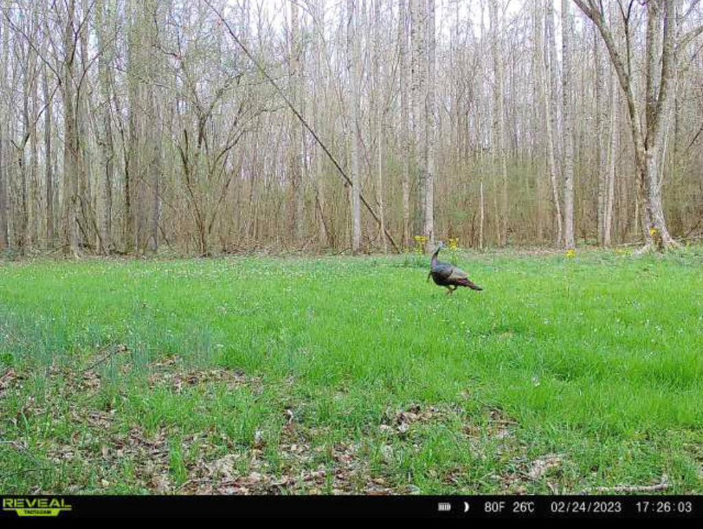 1 Midway Road Wesson, MS 39191 - Photo 26 of 33 Photo 26