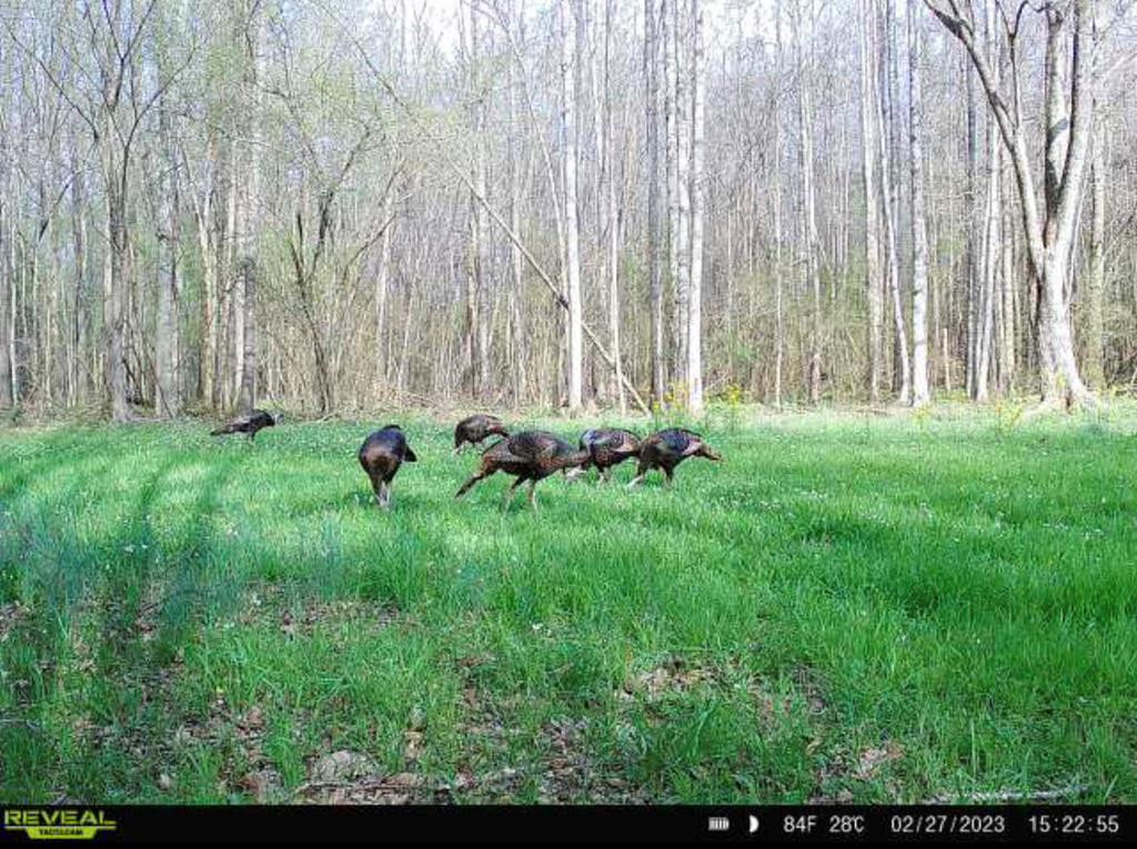 1 Midway Road Wesson, MS 39191 - Photo 28 of 33 Photo 28